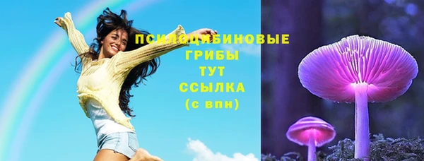 мдпв Лихославль
