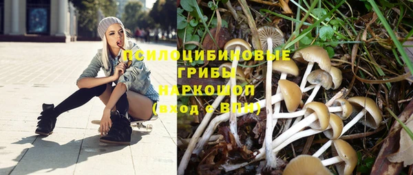 кристаллы Алексин