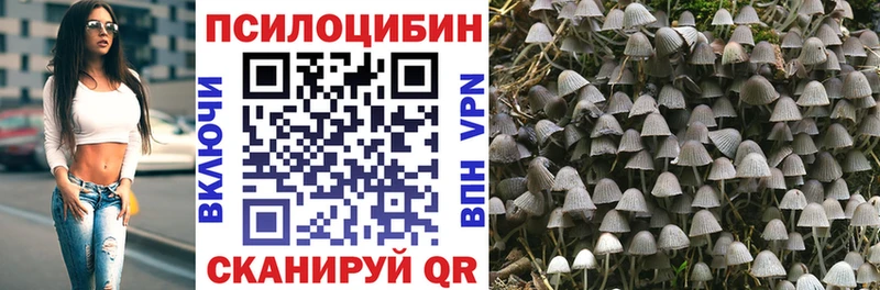 наркота  Ардон  Галлюциногенные грибы Cubensis 